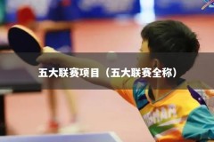 五大联赛项目（五大联赛全称）