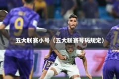 五大联赛小号（五大联赛号码规定）