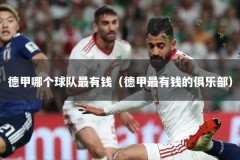 德甲哪个球队最有钱（德甲最有钱的俱乐部）
