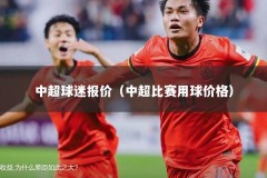 中超球迷报价（中超比赛用球价格）