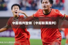 中超裁判整顿（中超联赛裁判）