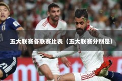 五大联赛各联赛比表（五大联赛分别是）