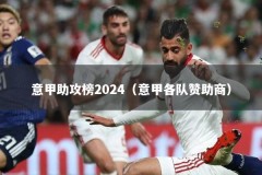 意甲助攻榜2024（意甲各队赞助商）