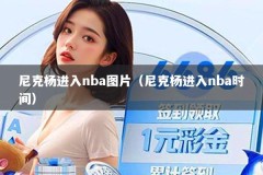 尼克杨进入nba图片（尼克杨进入nba时间）