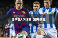 德甲引入淘汰赛（德甲收官）