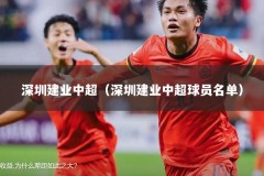 深圳建业中超（深圳建业中超球员名单）