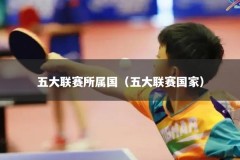 五大联赛所属国（五大联赛国家）