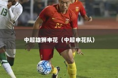 中超雄狮申花（中超申花队）