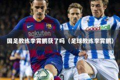 国足教练李霄鹏获了吗（足球教练李霄鹏）