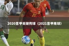 2020意甲关键传球（2021意甲用球）
