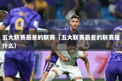 五大联赛最差的联赛（五大联赛最差的联赛是什么）