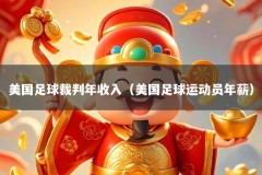 美国足球裁判年收入（美国足球运动员年薪）