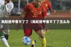 英超德甲看不了了（英超德甲看不了了怎么办）