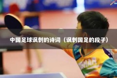 中国足球讽刺的诗词（讽刺国足的段子）