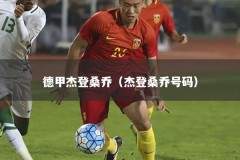 德甲杰登桑乔（杰登桑乔号码）