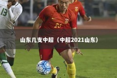 山东几支中超（中超2021山东）