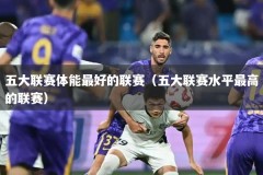 五大联赛体能最好的联赛（五大联赛水平最高的联赛）