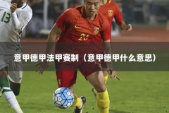 意甲德甲法甲赛制（意甲德甲什么意思）