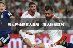 五大神仙球五大联赛（五大联赛球风）