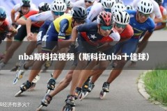 nba斯科拉视频（斯科拉nba十佳球）