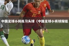 中国足球小将练习头球（中国足球小将球探组）